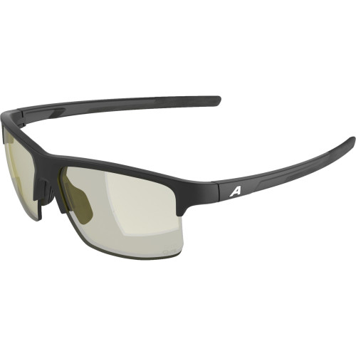 Unisex sluneční brýle ALPINA Eagle Q-Lite