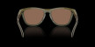 nahlad Oakley FROGSKINS RANGE
