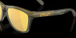 nahlad Oakley FROGSKINS RANGE
