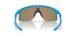 nahlad Unisex sportovní brýle Oakley RESISTOR