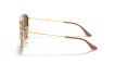 nahlad Ray-Ban 0RB3647N