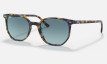 nahlad Ray-Ban RB 2197 ELLIOT