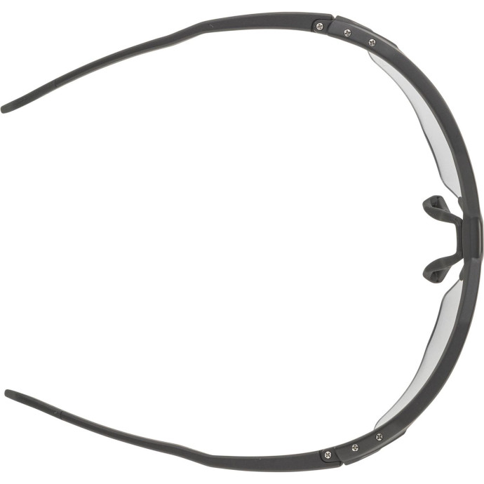detail Unisex sluneční brýle ALPINA Twist Six HR V