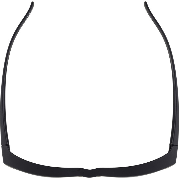 detail Unisex sluneční brýle ALPINA Overview II P