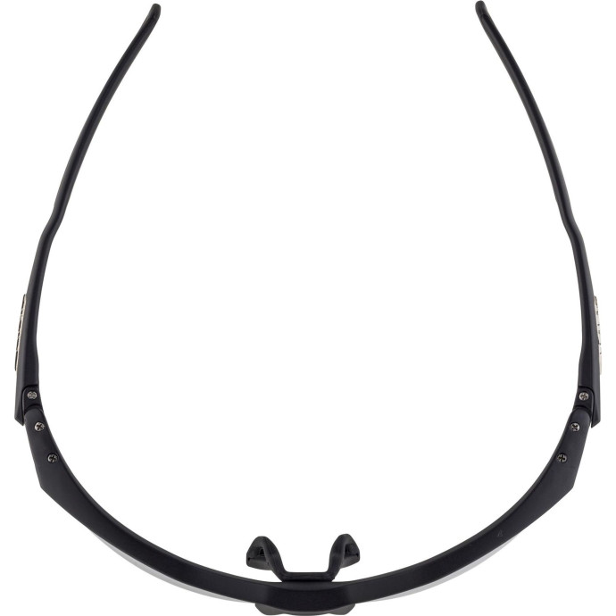 detail Unisex sluneční brýle ALPINA Twist Five HR