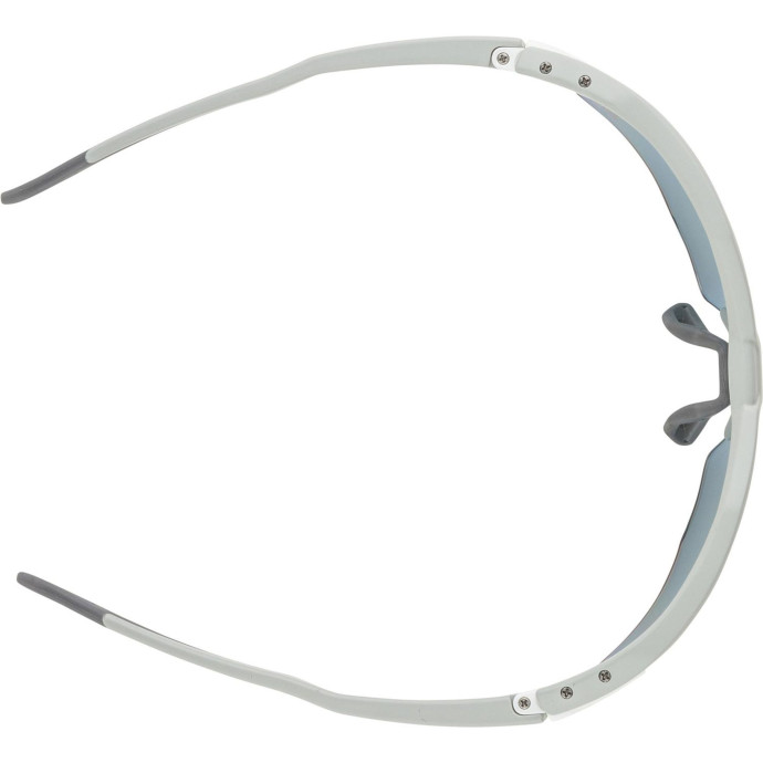 detail Unisex sluneční brýle ALPINA Twist Six S HR QV