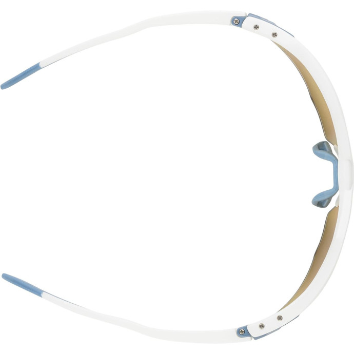 detail Unisex sluneční brýle ALPINA Twist Six S HR Q