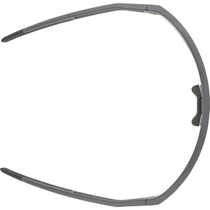 detail Unisex sluneční brýle ALPINA Sonic HR QV