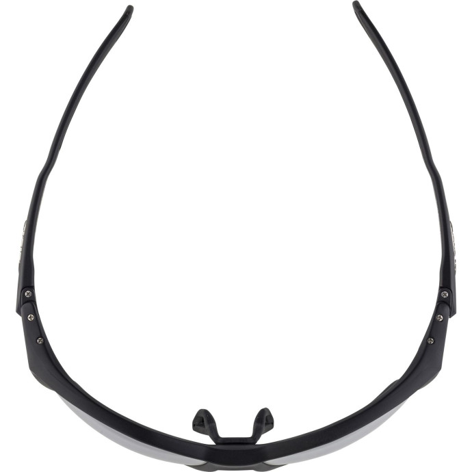 detail Unisex sluneční brýle ALPINA Twist Five VLM+