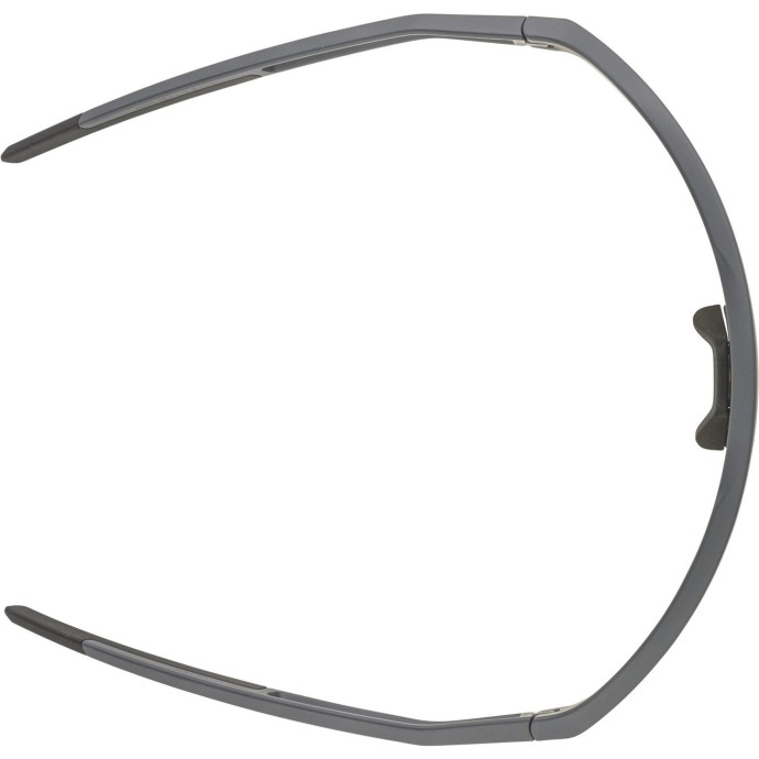 detail Unisex sluneční brýle ALPINA Sonic HR Q-Lite