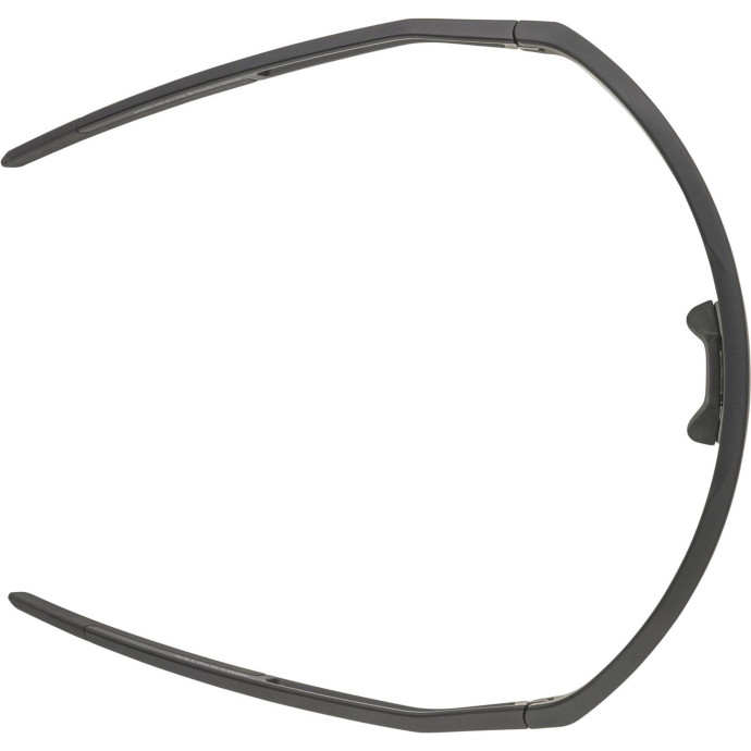 detail Unisex sluneční brýle ALPINA Sonic HR Q-Lite