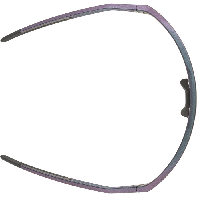 detail Unisex sluneční brýle ALPINA Sonic HR Q-Lite