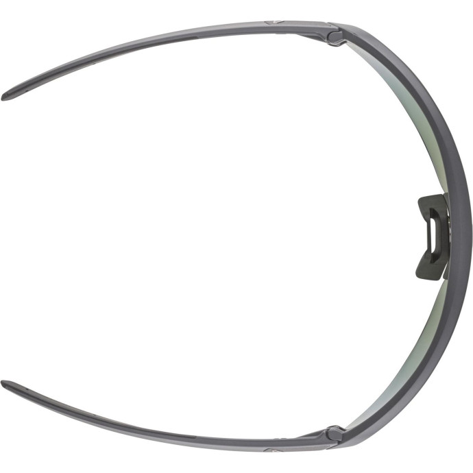 detail Unisex sluneční brýle ALPINA Turbo Pro Q-Lite