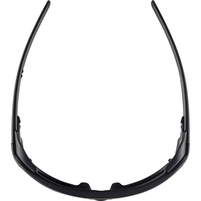 detail Unisex sluneční brýle ALPINA Skywalsh