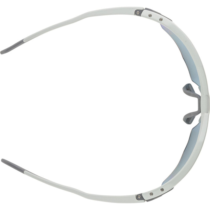 detail Unisex sluneční brýle ALPINA Twist Six HR QV