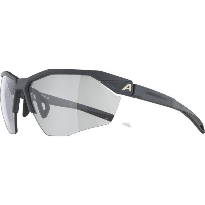detail Unisex sluneční brýle ALPINA Twist Six HR V