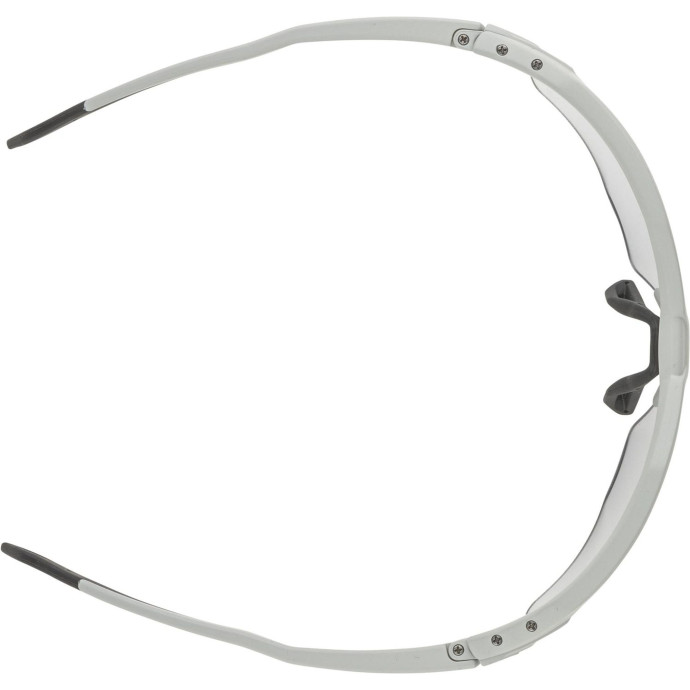 detail Unisex sluneční brýle ALPINA Twist Six HR V
