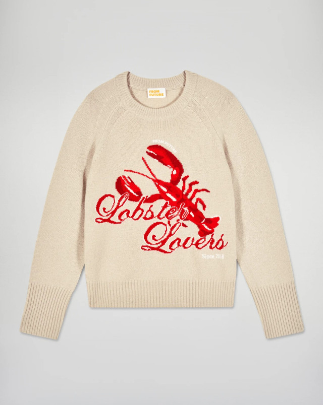 detail Dámský svetr FROM FUTURE ROUND NECK ICED SAND