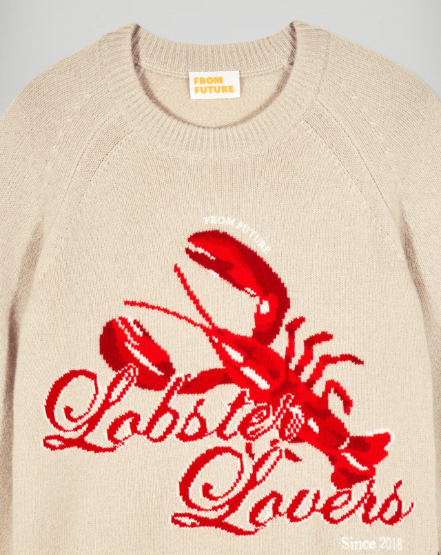 detail Dámský svetr FROM FUTURE ROUND NECK ICED SAND